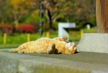 В столице и десяти областях РК объявлено штормовое предупреждение на среду