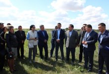Партия AMANAT возвратила в госсобственность 60 тысяч гектаров пастбищ в Акмолинской области