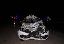 Хозяина скота, из-за которого погиб человек на трассе, ищут полицейские Кызылординской области