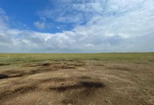 "Где кормовая база?": комиссия "Жер аманаты" проверила пастбищные угодья Карагандинской области