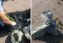 До семи лет тюрьмы грозит жителю Шымкента за найденную в сумке марихуану