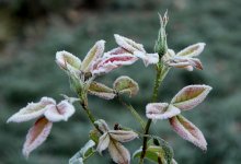 Антициклон остается в Казахстане