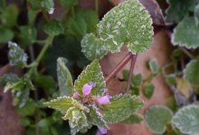 Заморозки до двух градусов сохранятся 23 августа на севере, востоке и западе Казахстана