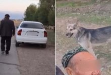 Уголовное дело возбудили на водителя, сбившего дедушку на велосипеде в Алматинской области