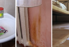 Почти четверть общежитий в Алматы еще не готовы принять студентов