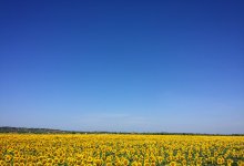 Погода без осадков сохранится на большей части страны 25 августа