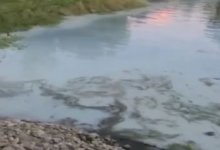 Люди напуганы: вода в протоке Иртыша в Усть-Каменогорске стала белой