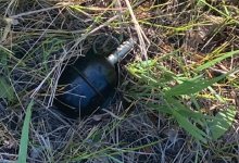 В петропавловском парке в траве обнаружили гранату