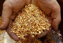 Нашли золото: территории двух природных заповедников сократят в Казахстане