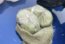 Казахстанец, разыскиваемый за продажу наркотиков, 22 года прятался в России