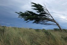 В восьми областях Казахстана и столице объявлено штормовое предупреждение