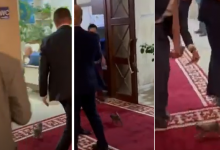 Котенок чуть не стал главным "гостем" на встрече Пашиняна и Мишустина в Кыргызстане