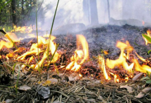 Пожарная опасность и заморозки: штормовое предупреждение объявили в Казахстане