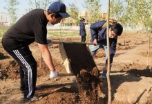 Деревья посадили на Малом Талдыколе в столице