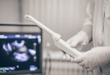 Биологи вырастили человеческий эмбрион с сердцем и мозгом без яйцеклетки