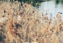 Мать ложно потерявшегося подростка из Атырау заплатит штраф