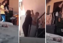 Избиение детей в приемной семье в Алматинской области попало на видео