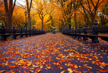 Какой сентябрь ждет казахстанцев, рассказали синоптики