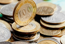 Потянет ли бюджет? О расходах на президентские выборы высказался Жамаубаев