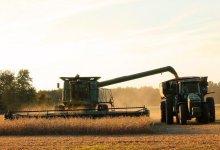 План по сбору зерновых перевыполнили на 38% в Казахстане