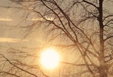 Сухая погода ожидается на большей части Казахстана