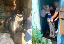 Полтонны мака, из которого делали опиум, изъяли у павлодарца