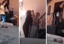 Супруги избивали приемных детей в Алматинской области: ребята останутся с опекунами