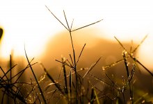 Кратковременные дожди с грозами пройдут на севере и западе Казахстана 3 сентября