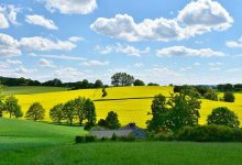 Сухая погода ожидается на большей части Казахстана