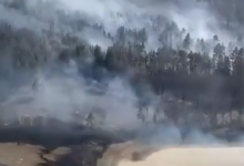 Пожар в Костанайской области: в регионе хотят ввести режим ЧС