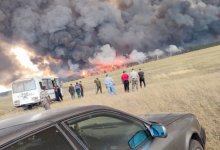 Экоактивисты назвали причины пожара в Костанайской области