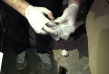 Наркотики в собачьей будке хранил житель Усть-Каменогорска