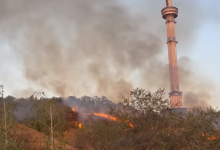 Пожар на Кок-Тобе потушили (ВИДЕО)