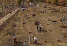 Тысячу яблонь высадили жители Усть-Каменогорска