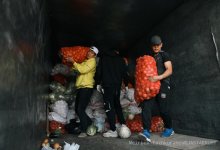 В Аулиекольском районе работают более 300 волонтеров "Жастар Рухы"