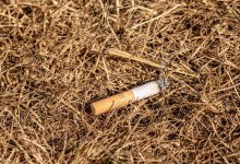 Более половины пожаров в стране произошло по вине людей. МЧС обратилось к казахстанцам
