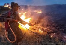 Четыре пожара продолжают тушить в степях Карагандинской области