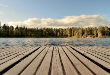 Одно из озер в СКО планируют переименовать