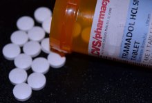 Собака унюхала: "Трамадол" на миллион тенге пытались провезти из Казахстана в Узбекистан