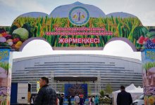 Кызылординские сельхозники представили свои товары на ярмарке в Нур-Султане