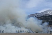 Сколько животных и птиц погибло во время пожаров в Костанайской области