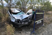 Водитель погиб, столкнувшись с лошадью, в ВКО