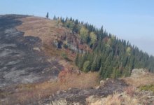 Все крупные пожары в ВКО локализованы