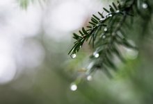 Штормовое предупреждение объявлено в шести областях Казахстана