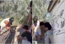 "Расправа над наркозакладчиками": подозреваемые в избиении задержаны (ВИДЕО)