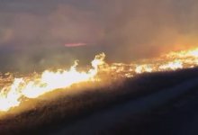 Природные пожары разгорелись недалеко от Актобе