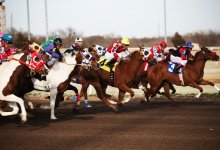 Байга на 1 200 километров стартует в Казахстане