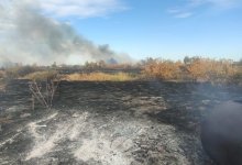 Снова пожар тушат в Костанайской области