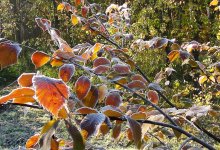 Туманы и заморозки ожидаются в Казахстане 18 сентября