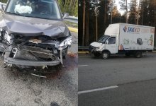 Лось стал причиной двойного ДТП в Акмолинской области